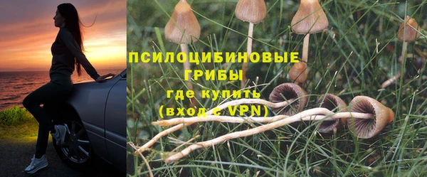 каннабис Беломорск