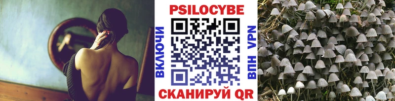 Псилоцибиновые грибы Psilocybine cubensis Краснослободск