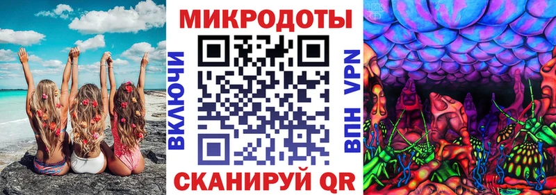 где купить наркоту  Краснослободск  Галлюциногенные грибы GOLDEN TEACHER 